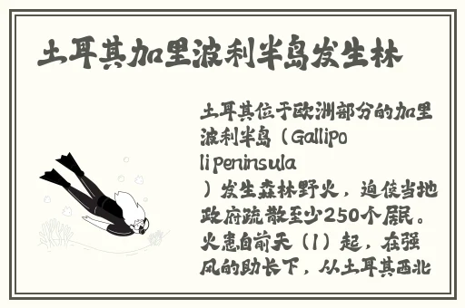 三亚私人高清影院品牌加盟免费
